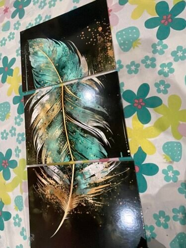 Set of 3 Feather Wall Art Wooden Phototile Modern Home Wall Decors photo review